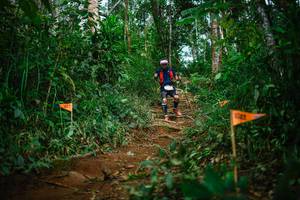 BIB: 205
                            <button type="button" onclick="openModal(22724039)" class="btn btn-primary btn-sm float-right btn-popup" data-toggle="modal" data-target=".modal-high-quality">
                        <i class="fas fa-shopping-cart"></i> Add to Cart
                    </button>
                                            <button type="button" onclick="isThisMe(22724039, true)" class="btn btn-success btn-sm float-right btn-popup btn-isme hidden" data-toggle="tooltip" data-placement="bottom" title="นี่คือรูปของคุณใช่ไหม คลิกที่นี่เพื่อเอาเข้าอัลบั้ม">
                        <i class="fas fa-plus"></i> Add to album
                    </button>
                    <button type="button" onclick="isThisMe(22724039, false)" class="btn btn-warning btn-sm float-right btn-popup btn-isnotme hidden">
                        <i class="fas fa-ban"></i> Remove from album
                    </button>