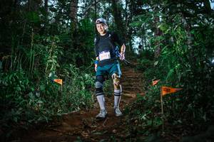 BIB: 
                            <button type="button" onclick="openModal(22725570)" class="btn btn-primary btn-sm float-right btn-popup" data-toggle="modal" data-target=".modal-high-quality">
                        <i class="fas fa-shopping-cart"></i> Add to Cart
                    </button>
                                            <button type="button" onclick="isThisMe(22725570, true)" class="btn btn-success btn-sm float-right btn-popup btn-isme hidden" data-toggle="tooltip" data-placement="bottom" title="นี่คือรูปของคุณใช่ไหม คลิกที่นี่เพื่อเอาเข้าอัลบั้ม">
                        <i class="fas fa-plus"></i> Add to album
                    </button>
                    <button type="button" onclick="isThisMe(22725570, false)" class="btn btn-warning btn-sm float-right btn-popup btn-isnotme hidden">
                        <i class="fas fa-ban"></i> Remove from album
                    </button>