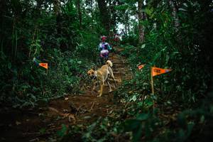 BIB: 1229
                            <button type="button" onclick="openModal(22724953)" class="btn btn-primary btn-sm float-right btn-popup" data-toggle="modal" data-target=".modal-high-quality">
                        <i class="fas fa-shopping-cart"></i> Add to Cart
                    </button>
                                            <button type="button" onclick="isThisMe(22724953, true)" class="btn btn-success btn-sm float-right btn-popup btn-isme hidden" data-toggle="tooltip" data-placement="bottom" title="นี่คือรูปของคุณใช่ไหม คลิกที่นี่เพื่อเอาเข้าอัลบั้ม">
                        <i class="fas fa-plus"></i> Add to album
                    </button>
                    <button type="button" onclick="isThisMe(22724953, false)" class="btn btn-warning btn-sm float-right btn-popup btn-isnotme hidden">
                        <i class="fas fa-ban"></i> Remove from album
                    </button>