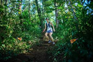 BIB: 
                            <button type="button" onclick="openModal(22733064)" class="btn btn-primary btn-sm float-right btn-popup" data-toggle="modal" data-target=".modal-high-quality">
                        <i class="fas fa-shopping-cart"></i> Add to Cart
                    </button>
                                            <button type="button" onclick="isThisMe(22733064, true)" class="btn btn-success btn-sm float-right btn-popup btn-isme hidden" data-toggle="tooltip" data-placement="bottom" title="นี่คือรูปของคุณใช่ไหม คลิกที่นี่เพื่อเอาเข้าอัลบั้ม">
                        <i class="fas fa-plus"></i> Add to album
                    </button>
                    <button type="button" onclick="isThisMe(22733064, false)" class="btn btn-warning btn-sm float-right btn-popup btn-isnotme hidden">
                        <i class="fas fa-ban"></i> Remove from album
                    </button>