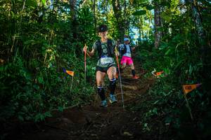 BIB: 2330
                            <button type="button" onclick="openModal(22730380)" class="btn btn-primary btn-sm float-right btn-popup" data-toggle="modal" data-target=".modal-high-quality">
                        <i class="fas fa-shopping-cart"></i> Add to Cart
                    </button>
                                            <button type="button" onclick="isThisMe(22730380, true)" class="btn btn-success btn-sm float-right btn-popup btn-isme hidden" data-toggle="tooltip" data-placement="bottom" title="นี่คือรูปของคุณใช่ไหม คลิกที่นี่เพื่อเอาเข้าอัลบั้ม">
                        <i class="fas fa-plus"></i> Add to album
                    </button>
                    <button type="button" onclick="isThisMe(22730380, false)" class="btn btn-warning btn-sm float-right btn-popup btn-isnotme hidden">
                        <i class="fas fa-ban"></i> Remove from album
                    </button>