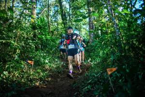 BIB: 
                            <button type="button" onclick="openModal(22733071)" class="btn btn-primary btn-sm float-right btn-popup" data-toggle="modal" data-target=".modal-high-quality">
                        <i class="fas fa-shopping-cart"></i> Add to Cart
                    </button>
                                            <button type="button" onclick="isThisMe(22733071, true)" class="btn btn-success btn-sm float-right btn-popup btn-isme hidden" data-toggle="tooltip" data-placement="bottom" title="นี่คือรูปของคุณใช่ไหม คลิกที่นี่เพื่อเอาเข้าอัลบั้ม">
                        <i class="fas fa-plus"></i> Add to album
                    </button>
                    <button type="button" onclick="isThisMe(22733071, false)" class="btn btn-warning btn-sm float-right btn-popup btn-isnotme hidden">
                        <i class="fas fa-ban"></i> Remove from album
                    </button>