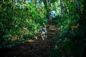 BIB: 
                            <button type="button" onclick="openModal(22733218)" class="btn btn-primary btn-sm float-right btn-popup" data-toggle="modal" data-target=".modal-high-quality">
                        <i class="fas fa-shopping-cart"></i> Add to Cart
                    </button>
                                            <button type="button" onclick="isThisMe(22733218, true)" class="btn btn-success btn-sm float-right btn-popup btn-isme hidden" data-toggle="tooltip" data-placement="bottom" title="นี่คือรูปของคุณใช่ไหม คลิกที่นี่เพื่อเอาเข้าอัลบั้ม">
                        <i class="fas fa-plus"></i> Add to album
                    </button>
                    <button type="button" onclick="isThisMe(22733218, false)" class="btn btn-warning btn-sm float-right btn-popup btn-isnotme hidden">
                        <i class="fas fa-ban"></i> Remove from album
                    </button>