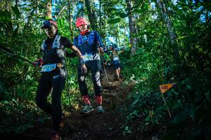 BIB: 1219
                            <button type="button" onclick="openModal(22733183)" class="btn btn-primary btn-sm float-right btn-popup" data-toggle="modal" data-target=".modal-high-quality">
                        <i class="fas fa-shopping-cart"></i> Add to Cart
                    </button>
                                            <button type="button" onclick="isThisMe(22733183, true)" class="btn btn-success btn-sm float-right btn-popup btn-isme hidden" data-toggle="tooltip" data-placement="bottom" title="นี่คือรูปของคุณใช่ไหม คลิกที่นี่เพื่อเอาเข้าอัลบั้ม">
                        <i class="fas fa-plus"></i> Add to album
                    </button>
                    <button type="button" onclick="isThisMe(22733183, false)" class="btn btn-warning btn-sm float-right btn-popup btn-isnotme hidden">
                        <i class="fas fa-ban"></i> Remove from album
                    </button>