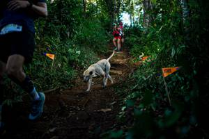 BIB: 
                            <button type="button" onclick="openModal(22728887)" class="btn btn-primary btn-sm float-right btn-popup" data-toggle="modal" data-target=".modal-high-quality">
                        <i class="fas fa-shopping-cart"></i> Add to Cart
                    </button>
                                            <button type="button" onclick="isThisMe(22728887, true)" class="btn btn-success btn-sm float-right btn-popup btn-isme hidden" data-toggle="tooltip" data-placement="bottom" title="นี่คือรูปของคุณใช่ไหม คลิกที่นี่เพื่อเอาเข้าอัลบั้ม">
                        <i class="fas fa-plus"></i> Add to album
                    </button>
                    <button type="button" onclick="isThisMe(22728887, false)" class="btn btn-warning btn-sm float-right btn-popup btn-isnotme hidden">
                        <i class="fas fa-ban"></i> Remove from album
                    </button>