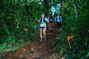 BIB: 
                            <button type="button" onclick="openModal(22737780)" class="btn btn-primary btn-sm float-right btn-popup" data-toggle="modal" data-target=".modal-high-quality">
                        <i class="fas fa-shopping-cart"></i> Add to Cart
                    </button>
                                            <button type="button" onclick="isThisMe(22737780, true)" class="btn btn-success btn-sm float-right btn-popup btn-isme hidden" data-toggle="tooltip" data-placement="bottom" title="นี่คือรูปของคุณใช่ไหม คลิกที่นี่เพื่อเอาเข้าอัลบั้ม">
                        <i class="fas fa-plus"></i> Add to album
                    </button>
                    <button type="button" onclick="isThisMe(22737780, false)" class="btn btn-warning btn-sm float-right btn-popup btn-isnotme hidden">
                        <i class="fas fa-ban"></i> Remove from album
                    </button>