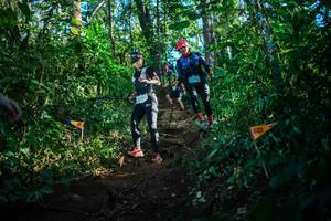 BIB: 1219
                            <button type="button" onclick="openModal(22733179)" class="btn btn-primary btn-sm float-right btn-popup" data-toggle="modal" data-target=".modal-high-quality">
                        <i class="fas fa-shopping-cart"></i> Add to Cart
                    </button>
                                            <button type="button" onclick="isThisMe(22733179, true)" class="btn btn-success btn-sm float-right btn-popup btn-isme hidden" data-toggle="tooltip" data-placement="bottom" title="นี่คือรูปของคุณใช่ไหม คลิกที่นี่เพื่อเอาเข้าอัลบั้ม">
                        <i class="fas fa-plus"></i> Add to album
                    </button>
                    <button type="button" onclick="isThisMe(22733179, false)" class="btn btn-warning btn-sm float-right btn-popup btn-isnotme hidden">
                        <i class="fas fa-ban"></i> Remove from album
                    </button>