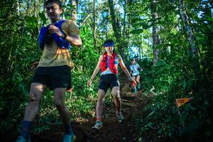 BIB: 
                            <button type="button" onclick="openModal(22733213)" class="btn btn-primary btn-sm float-right btn-popup" data-toggle="modal" data-target=".modal-high-quality">
                        <i class="fas fa-shopping-cart"></i> Add to Cart
                    </button>
                                            <button type="button" onclick="isThisMe(22733213, true)" class="btn btn-success btn-sm float-right btn-popup btn-isme hidden" data-toggle="tooltip" data-placement="bottom" title="นี่คือรูปของคุณใช่ไหม คลิกที่นี่เพื่อเอาเข้าอัลบั้ม">
                        <i class="fas fa-plus"></i> Add to album
                    </button>
                    <button type="button" onclick="isThisMe(22733213, false)" class="btn btn-warning btn-sm float-right btn-popup btn-isnotme hidden">
                        <i class="fas fa-ban"></i> Remove from album
                    </button>