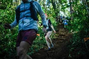 BIB: 
                            <button type="button" onclick="openModal(22733953)" class="btn btn-primary btn-sm float-right btn-popup" data-toggle="modal" data-target=".modal-high-quality">
                        <i class="fas fa-shopping-cart"></i> Add to Cart
                    </button>
                                            <button type="button" onclick="isThisMe(22733953, true)" class="btn btn-success btn-sm float-right btn-popup btn-isme hidden" data-toggle="tooltip" data-placement="bottom" title="นี่คือรูปของคุณใช่ไหม คลิกที่นี่เพื่อเอาเข้าอัลบั้ม">
                        <i class="fas fa-plus"></i> Add to album
                    </button>
                    <button type="button" onclick="isThisMe(22733953, false)" class="btn btn-warning btn-sm float-right btn-popup btn-isnotme hidden">
                        <i class="fas fa-ban"></i> Remove from album
                    </button>