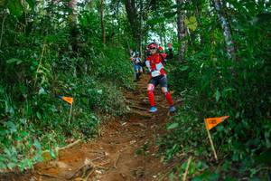 BIB: 
                            <button type="button" onclick="openModal(22739106)" class="btn btn-primary btn-sm float-right btn-popup" data-toggle="modal" data-target=".modal-high-quality">
                        <i class="fas fa-shopping-cart"></i> Add to Cart
                    </button>
                                            <button type="button" onclick="isThisMe(22739106, true)" class="btn btn-success btn-sm float-right btn-popup btn-isme hidden" data-toggle="tooltip" data-placement="bottom" title="นี่คือรูปของคุณใช่ไหม คลิกที่นี่เพื่อเอาเข้าอัลบั้ม">
                        <i class="fas fa-plus"></i> Add to album
                    </button>
                    <button type="button" onclick="isThisMe(22739106, false)" class="btn btn-warning btn-sm float-right btn-popup btn-isnotme hidden">
                        <i class="fas fa-ban"></i> Remove from album
                    </button>