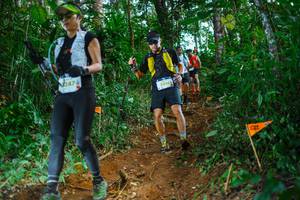 BIB: 247, 246
                            <button type="button" onclick="openModal(22739262)" class="btn btn-primary btn-sm float-right btn-popup" data-toggle="modal" data-target=".modal-high-quality">
                        <i class="fas fa-shopping-cart"></i> Add to Cart
                    </button>
                                            <button type="button" onclick="isThisMe(22739262, true)" class="btn btn-success btn-sm float-right btn-popup btn-isme hidden" data-toggle="tooltip" data-placement="bottom" title="นี่คือรูปของคุณใช่ไหม คลิกที่นี่เพื่อเอาเข้าอัลบั้ม">
                        <i class="fas fa-plus"></i> Add to album
                    </button>
                    <button type="button" onclick="isThisMe(22739262, false)" class="btn btn-warning btn-sm float-right btn-popup btn-isnotme hidden">
                        <i class="fas fa-ban"></i> Remove from album
                    </button>