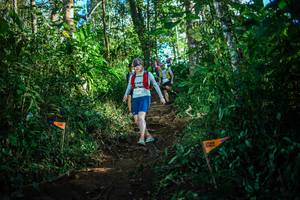 BIB: 1537
                            <button type="button" onclick="openModal(22733327)" class="btn btn-primary btn-sm float-right btn-popup" data-toggle="modal" data-target=".modal-high-quality">
                        <i class="fas fa-shopping-cart"></i> Add to Cart
                    </button>
                                            <button type="button" onclick="isThisMe(22733327, true)" class="btn btn-success btn-sm float-right btn-popup btn-isme hidden" data-toggle="tooltip" data-placement="bottom" title="นี่คือรูปของคุณใช่ไหม คลิกที่นี่เพื่อเอาเข้าอัลบั้ม">
                        <i class="fas fa-plus"></i> Add to album
                    </button>
                    <button type="button" onclick="isThisMe(22733327, false)" class="btn btn-warning btn-sm float-right btn-popup btn-isnotme hidden">
                        <i class="fas fa-ban"></i> Remove from album
                    </button>