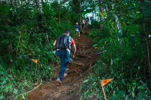 BIB: 
                            <button type="button" onclick="openModal(22738203)" class="btn btn-primary btn-sm float-right btn-popup" data-toggle="modal" data-target=".modal-high-quality">
                        <i class="fas fa-shopping-cart"></i> Add to Cart
                    </button>
                                            <button type="button" onclick="isThisMe(22738203, true)" class="btn btn-success btn-sm float-right btn-popup btn-isme hidden" data-toggle="tooltip" data-placement="bottom" title="นี่คือรูปของคุณใช่ไหม คลิกที่นี่เพื่อเอาเข้าอัลบั้ม">
                        <i class="fas fa-plus"></i> Add to album
                    </button>
                    <button type="button" onclick="isThisMe(22738203, false)" class="btn btn-warning btn-sm float-right btn-popup btn-isnotme hidden">
                        <i class="fas fa-ban"></i> Remove from album
                    </button>