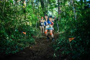 BIB: 
                            <button type="button" onclick="openModal(22733920)" class="btn btn-primary btn-sm float-right btn-popup" data-toggle="modal" data-target=".modal-high-quality">
                        <i class="fas fa-shopping-cart"></i> Add to Cart
                    </button>
                                            <button type="button" onclick="isThisMe(22733920, true)" class="btn btn-success btn-sm float-right btn-popup btn-isme hidden" data-toggle="tooltip" data-placement="bottom" title="นี่คือรูปของคุณใช่ไหม คลิกที่นี่เพื่อเอาเข้าอัลบั้ม">
                        <i class="fas fa-plus"></i> Add to album
                    </button>
                    <button type="button" onclick="isThisMe(22733920, false)" class="btn btn-warning btn-sm float-right btn-popup btn-isnotme hidden">
                        <i class="fas fa-ban"></i> Remove from album
                    </button>