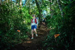 BIB: 32099
                            <button type="button" onclick="openModal(22733328)" class="btn btn-primary btn-sm float-right btn-popup" data-toggle="modal" data-target=".modal-high-quality">
                        <i class="fas fa-shopping-cart"></i> Add to Cart
                    </button>
                                            <button type="button" onclick="isThisMe(22733328, true)" class="btn btn-success btn-sm float-right btn-popup btn-isme hidden" data-toggle="tooltip" data-placement="bottom" title="นี่คือรูปของคุณใช่ไหม คลิกที่นี่เพื่อเอาเข้าอัลบั้ม">
                        <i class="fas fa-plus"></i> Add to album
                    </button>
                    <button type="button" onclick="isThisMe(22733328, false)" class="btn btn-warning btn-sm float-right btn-popup btn-isnotme hidden">
                        <i class="fas fa-ban"></i> Remove from album
                    </button>