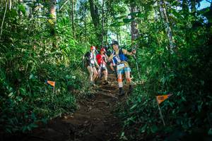 BIB: 
                            <button type="button" onclick="openModal(22733923)" class="btn btn-primary btn-sm float-right btn-popup" data-toggle="modal" data-target=".modal-high-quality">
                        <i class="fas fa-shopping-cart"></i> Add to Cart
                    </button>
                                            <button type="button" onclick="isThisMe(22733923, true)" class="btn btn-success btn-sm float-right btn-popup btn-isme hidden" data-toggle="tooltip" data-placement="bottom" title="นี่คือรูปของคุณใช่ไหม คลิกที่นี่เพื่อเอาเข้าอัลบั้ม">
                        <i class="fas fa-plus"></i> Add to album
                    </button>
                    <button type="button" onclick="isThisMe(22733923, false)" class="btn btn-warning btn-sm float-right btn-popup btn-isnotme hidden">
                        <i class="fas fa-ban"></i> Remove from album
                    </button>