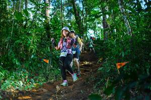 BIB: 0001
                            <button type="button" onclick="openModal(22736670)" class="btn btn-primary btn-sm float-right btn-popup" data-toggle="modal" data-target=".modal-high-quality">
                        <i class="fas fa-shopping-cart"></i> Add to Cart
                    </button>
                                            <button type="button" onclick="isThisMe(22736670, true)" class="btn btn-success btn-sm float-right btn-popup btn-isme hidden" data-toggle="tooltip" data-placement="bottom" title="นี่คือรูปของคุณใช่ไหม คลิกที่นี่เพื่อเอาเข้าอัลบั้ม">
                        <i class="fas fa-plus"></i> Add to album
                    </button>
                    <button type="button" onclick="isThisMe(22736670, false)" class="btn btn-warning btn-sm float-right btn-popup btn-isnotme hidden">
                        <i class="fas fa-ban"></i> Remove from album
                    </button>