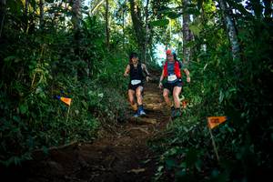 BIB: 
                            <button type="button" onclick="openModal(22728838)" class="btn btn-primary btn-sm float-right btn-popup" data-toggle="modal" data-target=".modal-high-quality">
                        <i class="fas fa-shopping-cart"></i> Add to Cart
                    </button>
                                            <button type="button" onclick="isThisMe(22728838, true)" class="btn btn-success btn-sm float-right btn-popup btn-isme hidden" data-toggle="tooltip" data-placement="bottom" title="นี่คือรูปของคุณใช่ไหม คลิกที่นี่เพื่อเอาเข้าอัลบั้ม">
                        <i class="fas fa-plus"></i> Add to album
                    </button>
                    <button type="button" onclick="isThisMe(22728838, false)" class="btn btn-warning btn-sm float-right btn-popup btn-isnotme hidden">
                        <i class="fas fa-ban"></i> Remove from album
                    </button>