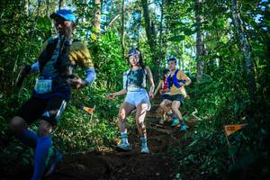 BIB: 1935
                            <button type="button" onclick="openModal(22733208)" class="btn btn-primary btn-sm float-right btn-popup" data-toggle="modal" data-target=".modal-high-quality">
                        <i class="fas fa-shopping-cart"></i> Add to Cart
                    </button>
                                            <button type="button" onclick="isThisMe(22733208, true)" class="btn btn-success btn-sm float-right btn-popup btn-isme hidden" data-toggle="tooltip" data-placement="bottom" title="นี่คือรูปของคุณใช่ไหม คลิกที่นี่เพื่อเอาเข้าอัลบั้ม">
                        <i class="fas fa-plus"></i> Add to album
                    </button>
                    <button type="button" onclick="isThisMe(22733208, false)" class="btn btn-warning btn-sm float-right btn-popup btn-isnotme hidden">
                        <i class="fas fa-ban"></i> Remove from album
                    </button>