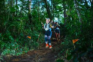 BIB: 
                            <button type="button" onclick="openModal(22736264)" class="btn btn-primary btn-sm float-right btn-popup" data-toggle="modal" data-target=".modal-high-quality">
                        <i class="fas fa-shopping-cart"></i> Add to Cart
                    </button>
                                            <button type="button" onclick="isThisMe(22736264, true)" class="btn btn-success btn-sm float-right btn-popup btn-isme hidden" data-toggle="tooltip" data-placement="bottom" title="นี่คือรูปของคุณใช่ไหม คลิกที่นี่เพื่อเอาเข้าอัลบั้ม">
                        <i class="fas fa-plus"></i> Add to album
                    </button>
                    <button type="button" onclick="isThisMe(22736264, false)" class="btn btn-warning btn-sm float-right btn-popup btn-isnotme hidden">
                        <i class="fas fa-ban"></i> Remove from album
                    </button>