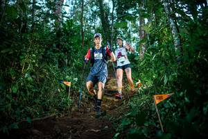 BIB: 
                            <button type="button" onclick="openModal(22728179)" class="btn btn-primary btn-sm float-right btn-popup" data-toggle="modal" data-target=".modal-high-quality">
                        <i class="fas fa-shopping-cart"></i> Add to Cart
                    </button>
                                            <button type="button" onclick="isThisMe(22728179, true)" class="btn btn-success btn-sm float-right btn-popup btn-isme hidden" data-toggle="tooltip" data-placement="bottom" title="นี่คือรูปของคุณใช่ไหม คลิกที่นี่เพื่อเอาเข้าอัลบั้ม">
                        <i class="fas fa-plus"></i> Add to album
                    </button>
                    <button type="button" onclick="isThisMe(22728179, false)" class="btn btn-warning btn-sm float-right btn-popup btn-isnotme hidden">
                        <i class="fas fa-ban"></i> Remove from album
                    </button>