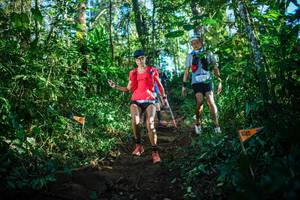 BIB: 
                            <button type="button" onclick="openModal(22733118)" class="btn btn-primary btn-sm float-right btn-popup" data-toggle="modal" data-target=".modal-high-quality">
                        <i class="fas fa-shopping-cart"></i> Add to Cart
                    </button>
                                            <button type="button" onclick="isThisMe(22733118, true)" class="btn btn-success btn-sm float-right btn-popup btn-isme hidden" data-toggle="tooltip" data-placement="bottom" title="นี่คือรูปของคุณใช่ไหม คลิกที่นี่เพื่อเอาเข้าอัลบั้ม">
                        <i class="fas fa-plus"></i> Add to album
                    </button>
                    <button type="button" onclick="isThisMe(22733118, false)" class="btn btn-warning btn-sm float-right btn-popup btn-isnotme hidden">
                        <i class="fas fa-ban"></i> Remove from album
                    </button>