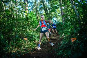 BIB: 2458
                            <button type="button" onclick="openModal(22733223)" class="btn btn-primary btn-sm float-right btn-popup" data-toggle="modal" data-target=".modal-high-quality">
                        <i class="fas fa-shopping-cart"></i> Add to Cart
                    </button>
                                            <button type="button" onclick="isThisMe(22733223, true)" class="btn btn-success btn-sm float-right btn-popup btn-isme hidden" data-toggle="tooltip" data-placement="bottom" title="นี่คือรูปของคุณใช่ไหม คลิกที่นี่เพื่อเอาเข้าอัลบั้ม">
                        <i class="fas fa-plus"></i> Add to album
                    </button>
                    <button type="button" onclick="isThisMe(22733223, false)" class="btn btn-warning btn-sm float-right btn-popup btn-isnotme hidden">
                        <i class="fas fa-ban"></i> Remove from album
                    </button>