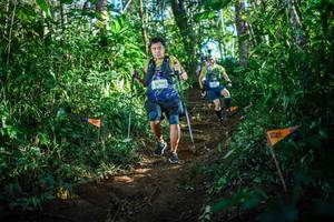 BIB: 2690
                            <button type="button" onclick="openModal(22734944)" class="btn btn-primary btn-sm float-right btn-popup" data-toggle="modal" data-target=".modal-high-quality">
                        <i class="fas fa-shopping-cart"></i> Add to Cart
                    </button>
                                            <button type="button" onclick="isThisMe(22734944, true)" class="btn btn-success btn-sm float-right btn-popup btn-isme hidden" data-toggle="tooltip" data-placement="bottom" title="นี่คือรูปของคุณใช่ไหม คลิกที่นี่เพื่อเอาเข้าอัลบั้ม">
                        <i class="fas fa-plus"></i> Add to album
                    </button>
                    <button type="button" onclick="isThisMe(22734944, false)" class="btn btn-warning btn-sm float-right btn-popup btn-isnotme hidden">
                        <i class="fas fa-ban"></i> Remove from album
                    </button>