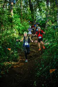 BIB: 2192
                            <button type="button" onclick="openModal(22734206)" class="btn btn-primary btn-sm float-right btn-popup" data-toggle="modal" data-target=".modal-high-quality">
                        <i class="fas fa-shopping-cart"></i> Add to Cart
                    </button>
                                            <button type="button" onclick="isThisMe(22734206, true)" class="btn btn-success btn-sm float-right btn-popup btn-isme hidden" data-toggle="tooltip" data-placement="bottom" title="นี่คือรูปของคุณใช่ไหม คลิกที่นี่เพื่อเอาเข้าอัลบั้ม">
                        <i class="fas fa-plus"></i> Add to album
                    </button>
                    <button type="button" onclick="isThisMe(22734206, false)" class="btn btn-warning btn-sm float-right btn-popup btn-isnotme hidden">
                        <i class="fas fa-ban"></i> Remove from album
                    </button>