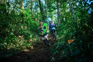 BIB: 
                            <button type="button" onclick="openModal(22733188)" class="btn btn-primary btn-sm float-right btn-popup" data-toggle="modal" data-target=".modal-high-quality">
                        <i class="fas fa-shopping-cart"></i> Add to Cart
                    </button>
                                            <button type="button" onclick="isThisMe(22733188, true)" class="btn btn-success btn-sm float-right btn-popup btn-isme hidden" data-toggle="tooltip" data-placement="bottom" title="นี่คือรูปของคุณใช่ไหม คลิกที่นี่เพื่อเอาเข้าอัลบั้ม">
                        <i class="fas fa-plus"></i> Add to album
                    </button>
                    <button type="button" onclick="isThisMe(22733188, false)" class="btn btn-warning btn-sm float-right btn-popup btn-isnotme hidden">
                        <i class="fas fa-ban"></i> Remove from album
                    </button>