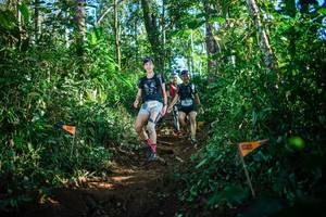 BIB: 
                            <button type="button" onclick="openModal(22735240)" class="btn btn-primary btn-sm float-right btn-popup" data-toggle="modal" data-target=".modal-high-quality">
                        <i class="fas fa-shopping-cart"></i> Add to Cart
                    </button>
                                            <button type="button" onclick="isThisMe(22735240, true)" class="btn btn-success btn-sm float-right btn-popup btn-isme hidden" data-toggle="tooltip" data-placement="bottom" title="นี่คือรูปของคุณใช่ไหม คลิกที่นี่เพื่อเอาเข้าอัลบั้ม">
                        <i class="fas fa-plus"></i> Add to album
                    </button>
                    <button type="button" onclick="isThisMe(22735240, false)" class="btn btn-warning btn-sm float-right btn-popup btn-isnotme hidden">
                        <i class="fas fa-ban"></i> Remove from album
                    </button>