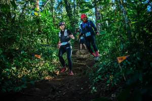 BIB: 
                            <button type="button" onclick="openModal(22733182)" class="btn btn-primary btn-sm float-right btn-popup" data-toggle="modal" data-target=".modal-high-quality">
                        <i class="fas fa-shopping-cart"></i> Add to Cart
                    </button>
                                            <button type="button" onclick="isThisMe(22733182, true)" class="btn btn-success btn-sm float-right btn-popup btn-isme hidden" data-toggle="tooltip" data-placement="bottom" title="นี่คือรูปของคุณใช่ไหม คลิกที่นี่เพื่อเอาเข้าอัลบั้ม">
                        <i class="fas fa-plus"></i> Add to album
                    </button>
                    <button type="button" onclick="isThisMe(22733182, false)" class="btn btn-warning btn-sm float-right btn-popup btn-isnotme hidden">
                        <i class="fas fa-ban"></i> Remove from album
                    </button>