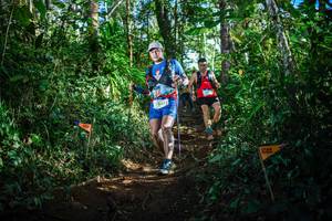 BIB: 73473
                            <button type="button" onclick="openModal(22735695)" class="btn btn-primary btn-sm float-right btn-popup" data-toggle="modal" data-target=".modal-high-quality">
                        <i class="fas fa-shopping-cart"></i> Add to Cart
                    </button>
                                            <button type="button" onclick="isThisMe(22735695, true)" class="btn btn-success btn-sm float-right btn-popup btn-isme hidden" data-toggle="tooltip" data-placement="bottom" title="นี่คือรูปของคุณใช่ไหม คลิกที่นี่เพื่อเอาเข้าอัลบั้ม">
                        <i class="fas fa-plus"></i> Add to album
                    </button>
                    <button type="button" onclick="isThisMe(22735695, false)" class="btn btn-warning btn-sm float-right btn-popup btn-isnotme hidden">
                        <i class="fas fa-ban"></i> Remove from album
                    </button>