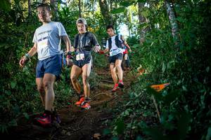 BIB: 
                            <button type="button" onclick="openModal(22729463)" class="btn btn-primary btn-sm float-right btn-popup" data-toggle="modal" data-target=".modal-high-quality">
                        <i class="fas fa-shopping-cart"></i> Add to Cart
                    </button>
                                            <button type="button" onclick="isThisMe(22729463, true)" class="btn btn-success btn-sm float-right btn-popup btn-isme hidden" data-toggle="tooltip" data-placement="bottom" title="นี่คือรูปของคุณใช่ไหม คลิกที่นี่เพื่อเอาเข้าอัลบั้ม">
                        <i class="fas fa-plus"></i> Add to album
                    </button>
                    <button type="button" onclick="isThisMe(22729463, false)" class="btn btn-warning btn-sm float-right btn-popup btn-isnotme hidden">
                        <i class="fas fa-ban"></i> Remove from album
                    </button>