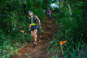 BIB: 
                            <button type="button" onclick="openModal(22738171)" class="btn btn-primary btn-sm float-right btn-popup" data-toggle="modal" data-target=".modal-high-quality">
                        <i class="fas fa-shopping-cart"></i> Add to Cart
                    </button>
                                            <button type="button" onclick="isThisMe(22738171, true)" class="btn btn-success btn-sm float-right btn-popup btn-isme hidden" data-toggle="tooltip" data-placement="bottom" title="นี่คือรูปของคุณใช่ไหม คลิกที่นี่เพื่อเอาเข้าอัลบั้ม">
                        <i class="fas fa-plus"></i> Add to album
                    </button>
                    <button type="button" onclick="isThisMe(22738171, false)" class="btn btn-warning btn-sm float-right btn-popup btn-isnotme hidden">
                        <i class="fas fa-ban"></i> Remove from album
                    </button>