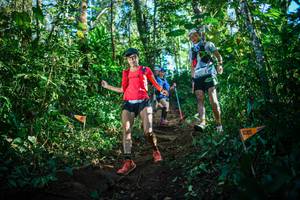 BIB: 
                            <button type="button" onclick="openModal(22733119)" class="btn btn-primary btn-sm float-right btn-popup" data-toggle="modal" data-target=".modal-high-quality">
                        <i class="fas fa-shopping-cart"></i> Add to Cart
                    </button>
                                            <button type="button" onclick="isThisMe(22733119, true)" class="btn btn-success btn-sm float-right btn-popup btn-isme hidden" data-toggle="tooltip" data-placement="bottom" title="นี่คือรูปของคุณใช่ไหม คลิกที่นี่เพื่อเอาเข้าอัลบั้ม">
                        <i class="fas fa-plus"></i> Add to album
                    </button>
                    <button type="button" onclick="isThisMe(22733119, false)" class="btn btn-warning btn-sm float-right btn-popup btn-isnotme hidden">
                        <i class="fas fa-ban"></i> Remove from album
                    </button>