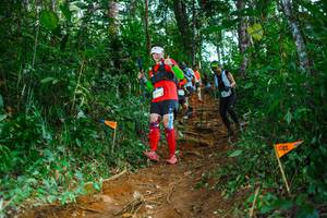 BIB: 
                            <button type="button" onclick="openModal(22739248)" class="btn btn-primary btn-sm float-right btn-popup" data-toggle="modal" data-target=".modal-high-quality">
                        <i class="fas fa-shopping-cart"></i> Add to Cart
                    </button>
                                            <button type="button" onclick="isThisMe(22739248, true)" class="btn btn-success btn-sm float-right btn-popup btn-isme hidden" data-toggle="tooltip" data-placement="bottom" title="นี่คือรูปของคุณใช่ไหม คลิกที่นี่เพื่อเอาเข้าอัลบั้ม">
                        <i class="fas fa-plus"></i> Add to album
                    </button>
                    <button type="button" onclick="isThisMe(22739248, false)" class="btn btn-warning btn-sm float-right btn-popup btn-isnotme hidden">
                        <i class="fas fa-ban"></i> Remove from album
                    </button>