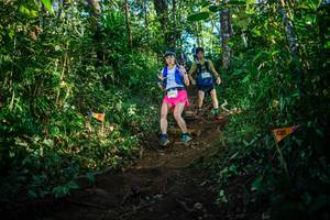 BIB: 
                            <button type="button" onclick="openModal(22732309)" class="btn btn-primary btn-sm float-right btn-popup" data-toggle="modal" data-target=".modal-high-quality">
                        <i class="fas fa-shopping-cart"></i> Add to Cart
                    </button>
                                            <button type="button" onclick="isThisMe(22732309, true)" class="btn btn-success btn-sm float-right btn-popup btn-isme hidden" data-toggle="tooltip" data-placement="bottom" title="นี่คือรูปของคุณใช่ไหม คลิกที่นี่เพื่อเอาเข้าอัลบั้ม">
                        <i class="fas fa-plus"></i> Add to album
                    </button>
                    <button type="button" onclick="isThisMe(22732309, false)" class="btn btn-warning btn-sm float-right btn-popup btn-isnotme hidden">
                        <i class="fas fa-ban"></i> Remove from album
                    </button>