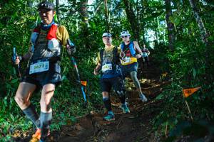 BIB: 2677, 442
                            <button type="button" onclick="openModal(22735843)" class="btn btn-primary btn-sm float-right btn-popup" data-toggle="modal" data-target=".modal-high-quality">
                        <i class="fas fa-shopping-cart"></i> Add to Cart
                    </button>
                                            <button type="button" onclick="isThisMe(22735843, true)" class="btn btn-success btn-sm float-right btn-popup btn-isme hidden" data-toggle="tooltip" data-placement="bottom" title="นี่คือรูปของคุณใช่ไหม คลิกที่นี่เพื่อเอาเข้าอัลบั้ม">
                        <i class="fas fa-plus"></i> Add to album
                    </button>
                    <button type="button" onclick="isThisMe(22735843, false)" class="btn btn-warning btn-sm float-right btn-popup btn-isnotme hidden">
                        <i class="fas fa-ban"></i> Remove from album
                    </button>