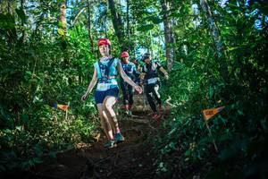 BIB: 2651
                            <button type="button" onclick="openModal(22733181)" class="btn btn-primary btn-sm float-right btn-popup" data-toggle="modal" data-target=".modal-high-quality">
                        <i class="fas fa-shopping-cart"></i> Add to Cart
                    </button>
                                            <button type="button" onclick="isThisMe(22733181, true)" class="btn btn-success btn-sm float-right btn-popup btn-isme hidden" data-toggle="tooltip" data-placement="bottom" title="นี่คือรูปของคุณใช่ไหม คลิกที่นี่เพื่อเอาเข้าอัลบั้ม">
                        <i class="fas fa-plus"></i> Add to album
                    </button>
                    <button type="button" onclick="isThisMe(22733181, false)" class="btn btn-warning btn-sm float-right btn-popup btn-isnotme hidden">
                        <i class="fas fa-ban"></i> Remove from album
                    </button>