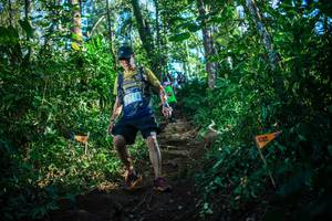 BIB: 27450
                            <button type="button" onclick="openModal(22733190)" class="btn btn-primary btn-sm float-right btn-popup" data-toggle="modal" data-target=".modal-high-quality">
                        <i class="fas fa-shopping-cart"></i> Add to Cart
                    </button>
                                            <button type="button" onclick="isThisMe(22733190, true)" class="btn btn-success btn-sm float-right btn-popup btn-isme hidden" data-toggle="tooltip" data-placement="bottom" title="นี่คือรูปของคุณใช่ไหม คลิกที่นี่เพื่อเอาเข้าอัลบั้ม">
                        <i class="fas fa-plus"></i> Add to album
                    </button>
                    <button type="button" onclick="isThisMe(22733190, false)" class="btn btn-warning btn-sm float-right btn-popup btn-isnotme hidden">
                        <i class="fas fa-ban"></i> Remove from album
                    </button>