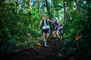 BIB: 
                            <button type="button" onclick="openModal(22733263)" class="btn btn-primary btn-sm float-right btn-popup" data-toggle="modal" data-target=".modal-high-quality">
                        <i class="fas fa-shopping-cart"></i> Add to Cart
                    </button>
                                            <button type="button" onclick="isThisMe(22733263, true)" class="btn btn-success btn-sm float-right btn-popup btn-isme hidden" data-toggle="tooltip" data-placement="bottom" title="นี่คือรูปของคุณใช่ไหม คลิกที่นี่เพื่อเอาเข้าอัลบั้ม">
                        <i class="fas fa-plus"></i> Add to album
                    </button>
                    <button type="button" onclick="isThisMe(22733263, false)" class="btn btn-warning btn-sm float-right btn-popup btn-isnotme hidden">
                        <i class="fas fa-ban"></i> Remove from album
                    </button>