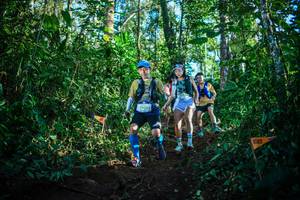 BIB: 2935
                            <button type="button" onclick="openModal(22733206)" class="btn btn-primary btn-sm float-right btn-popup" data-toggle="modal" data-target=".modal-high-quality">
                        <i class="fas fa-shopping-cart"></i> Add to Cart
                    </button>
                                            <button type="button" onclick="isThisMe(22733206, true)" class="btn btn-success btn-sm float-right btn-popup btn-isme hidden" data-toggle="tooltip" data-placement="bottom" title="นี่คือรูปของคุณใช่ไหม คลิกที่นี่เพื่อเอาเข้าอัลบั้ม">
                        <i class="fas fa-plus"></i> Add to album
                    </button>
                    <button type="button" onclick="isThisMe(22733206, false)" class="btn btn-warning btn-sm float-right btn-popup btn-isnotme hidden">
                        <i class="fas fa-ban"></i> Remove from album
                    </button>