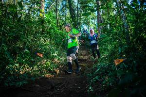 BIB: 321, 13940
                            <button type="button" onclick="openModal(22733191)" class="btn btn-primary btn-sm float-right btn-popup" data-toggle="modal" data-target=".modal-high-quality">
                        <i class="fas fa-shopping-cart"></i> Add to Cart
                    </button>
                                            <button type="button" onclick="isThisMe(22733191, true)" class="btn btn-success btn-sm float-right btn-popup btn-isme hidden" data-toggle="tooltip" data-placement="bottom" title="นี่คือรูปของคุณใช่ไหม คลิกที่นี่เพื่อเอาเข้าอัลบั้ม">
                        <i class="fas fa-plus"></i> Add to album
                    </button>
                    <button type="button" onclick="isThisMe(22733191, false)" class="btn btn-warning btn-sm float-right btn-popup btn-isnotme hidden">
                        <i class="fas fa-ban"></i> Remove from album
                    </button>