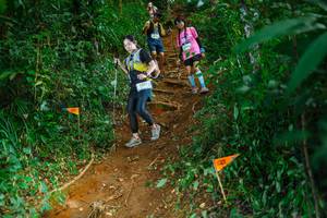 BIB: 6420
                            <button type="button" onclick="openModal(22739448)" class="btn btn-primary btn-sm float-right btn-popup" data-toggle="modal" data-target=".modal-high-quality">
                        <i class="fas fa-shopping-cart"></i> Add to Cart
                    </button>
                                            <button type="button" onclick="isThisMe(22739448, true)" class="btn btn-success btn-sm float-right btn-popup btn-isme hidden" data-toggle="tooltip" data-placement="bottom" title="นี่คือรูปของคุณใช่ไหม คลิกที่นี่เพื่อเอาเข้าอัลบั้ม">
                        <i class="fas fa-plus"></i> Add to album
                    </button>
                    <button type="button" onclick="isThisMe(22739448, false)" class="btn btn-warning btn-sm float-right btn-popup btn-isnotme hidden">
                        <i class="fas fa-ban"></i> Remove from album
                    </button>