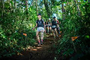 BIB: 3761
                            <button type="button" onclick="openModal(22735232)" class="btn btn-primary btn-sm float-right btn-popup" data-toggle="modal" data-target=".modal-high-quality">
                        <i class="fas fa-shopping-cart"></i> Add to Cart
                    </button>
                                            <button type="button" onclick="isThisMe(22735232, true)" class="btn btn-success btn-sm float-right btn-popup btn-isme hidden" data-toggle="tooltip" data-placement="bottom" title="นี่คือรูปของคุณใช่ไหม คลิกที่นี่เพื่อเอาเข้าอัลบั้ม">
                        <i class="fas fa-plus"></i> Add to album
                    </button>
                    <button type="button" onclick="isThisMe(22735232, false)" class="btn btn-warning btn-sm float-right btn-popup btn-isnotme hidden">
                        <i class="fas fa-ban"></i> Remove from album
                    </button>