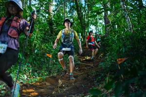 BIB: 
                            <button type="button" onclick="openModal(22736683)" class="btn btn-primary btn-sm float-right btn-popup" data-toggle="modal" data-target=".modal-high-quality">
                        <i class="fas fa-shopping-cart"></i> Add to Cart
                    </button>
                                            <button type="button" onclick="isThisMe(22736683, true)" class="btn btn-success btn-sm float-right btn-popup btn-isme hidden" data-toggle="tooltip" data-placement="bottom" title="นี่คือรูปของคุณใช่ไหม คลิกที่นี่เพื่อเอาเข้าอัลบั้ม">
                        <i class="fas fa-plus"></i> Add to album
                    </button>
                    <button type="button" onclick="isThisMe(22736683, false)" class="btn btn-warning btn-sm float-right btn-popup btn-isnotme hidden">
                        <i class="fas fa-ban"></i> Remove from album
                    </button>