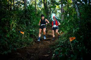 BIB: 2079, 
                            <button type="button" onclick="openModal(22728858)" class="btn btn-primary btn-sm float-right btn-popup" data-toggle="modal" data-target=".modal-high-quality">
                        <i class="fas fa-shopping-cart"></i> Add to Cart
                    </button>
                                            <button type="button" onclick="isThisMe(22728858, true)" class="btn btn-success btn-sm float-right btn-popup btn-isme hidden" data-toggle="tooltip" data-placement="bottom" title="นี่คือรูปของคุณใช่ไหม คลิกที่นี่เพื่อเอาเข้าอัลบั้ม">
                        <i class="fas fa-plus"></i> Add to album
                    </button>
                    <button type="button" onclick="isThisMe(22728858, false)" class="btn btn-warning btn-sm float-right btn-popup btn-isnotme hidden">
                        <i class="fas fa-ban"></i> Remove from album
                    </button>