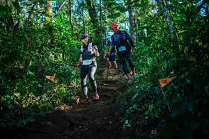 BIB: 2194
                            <button type="button" onclick="openModal(22733180)" class="btn btn-primary btn-sm float-right btn-popup" data-toggle="modal" data-target=".modal-high-quality">
                        <i class="fas fa-shopping-cart"></i> Add to Cart
                    </button>
                                            <button type="button" onclick="isThisMe(22733180, true)" class="btn btn-success btn-sm float-right btn-popup btn-isme hidden" data-toggle="tooltip" data-placement="bottom" title="นี่คือรูปของคุณใช่ไหม คลิกที่นี่เพื่อเอาเข้าอัลบั้ม">
                        <i class="fas fa-plus"></i> Add to album
                    </button>
                    <button type="button" onclick="isThisMe(22733180, false)" class="btn btn-warning btn-sm float-right btn-popup btn-isnotme hidden">
                        <i class="fas fa-ban"></i> Remove from album
                    </button>