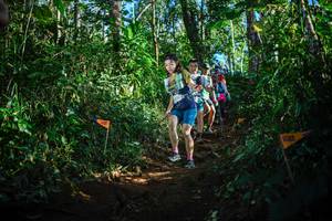 BIB: 
                            <button type="button" onclick="openModal(22735453)" class="btn btn-primary btn-sm float-right btn-popup" data-toggle="modal" data-target=".modal-high-quality">
                        <i class="fas fa-shopping-cart"></i> Add to Cart
                    </button>
                                            <button type="button" onclick="isThisMe(22735453, true)" class="btn btn-success btn-sm float-right btn-popup btn-isme hidden" data-toggle="tooltip" data-placement="bottom" title="นี่คือรูปของคุณใช่ไหม คลิกที่นี่เพื่อเอาเข้าอัลบั้ม">
                        <i class="fas fa-plus"></i> Add to album
                    </button>
                    <button type="button" onclick="isThisMe(22735453, false)" class="btn btn-warning btn-sm float-right btn-popup btn-isnotme hidden">
                        <i class="fas fa-ban"></i> Remove from album
                    </button>